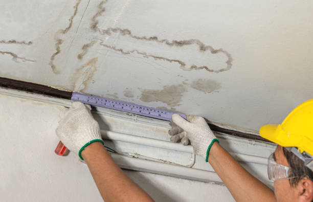 Reliable Water Damage Restoration contractor in Lewisburg, WV by Water Damage Irwin